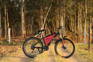 electric bike in the woods
